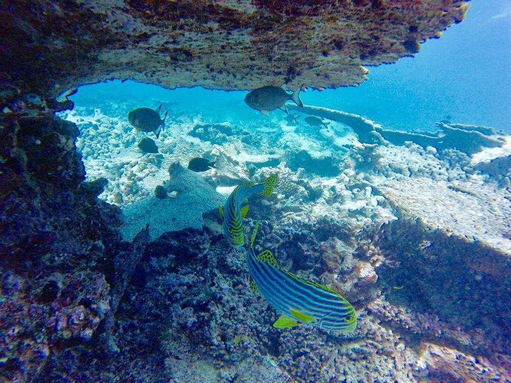 Island Home Inn Ukulhas Zewnętrze zdjęcie