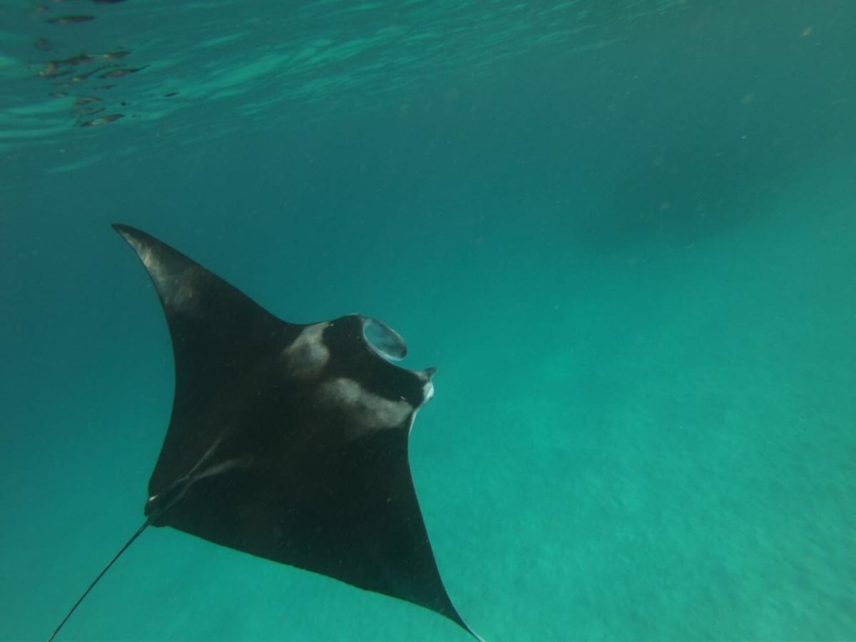 Island Home Inn Ukulhas Zewnętrze zdjęcie